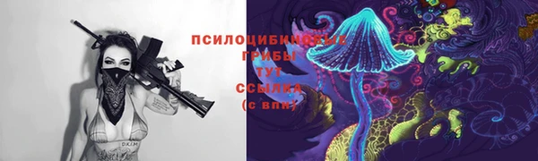 Альфа ПВП Мегион