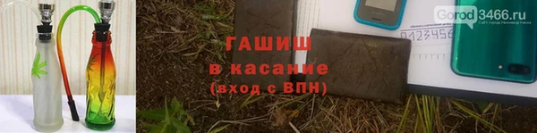 сатива Михайловск