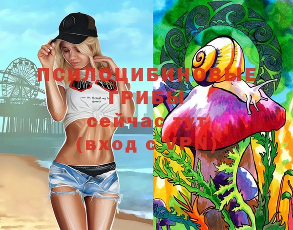 Альфа ПВП Мегион