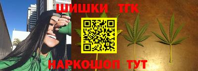 стафф Заводоуковск