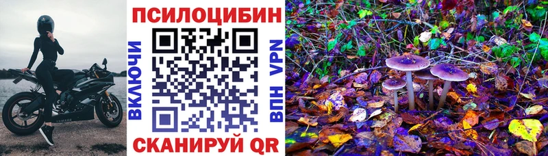 даркнет официальный сайт Моздок Галлюциногенные грибы Psilocybe