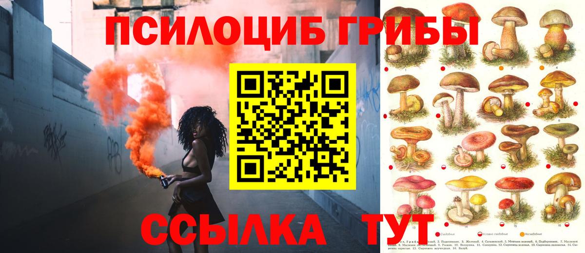 Псилоцибиновые грибы Magic Shrooms Моздок