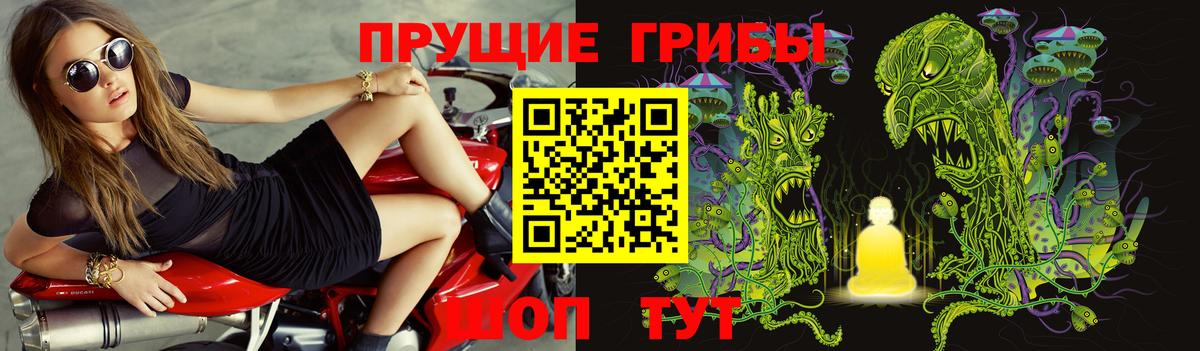 Галлюциногенные грибы Psilocybe  купить закладку  Вход с VPN  Моздок  Псилоцибиновые грибы мицелий 